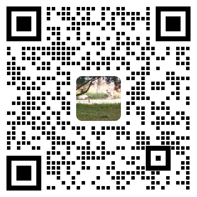 联系我们二维码